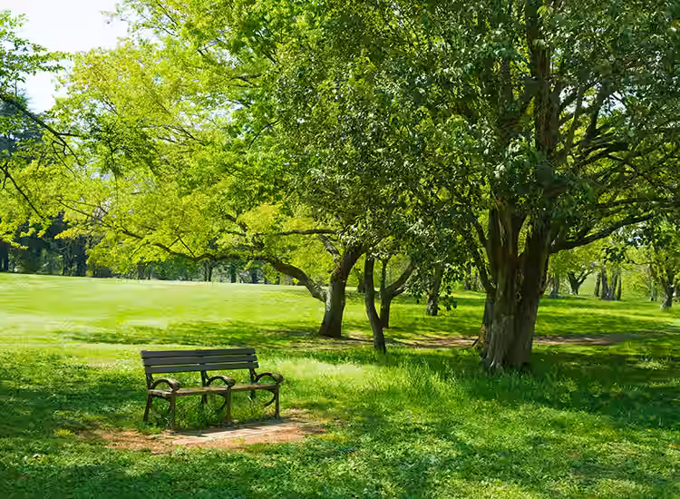 Landscaped park and open green space in Zirakpur